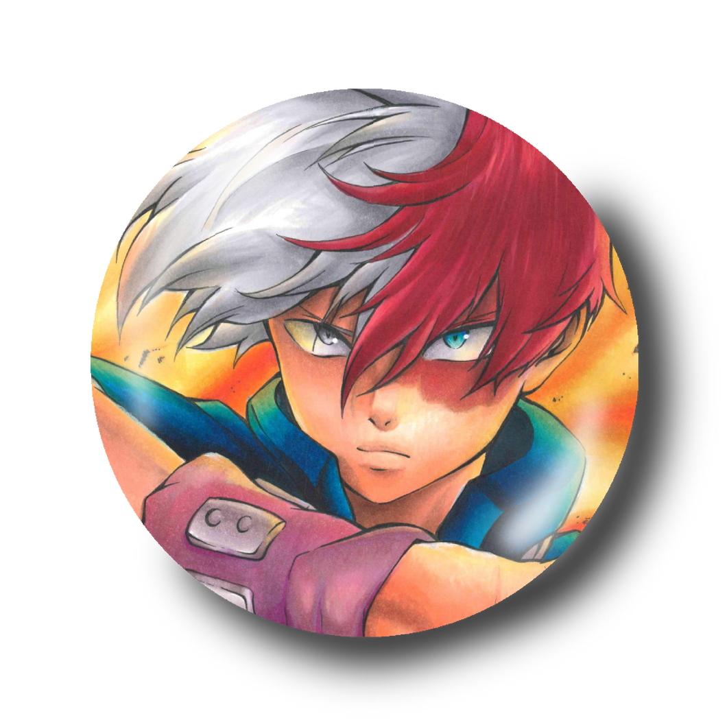 My hero academia - Todoroki