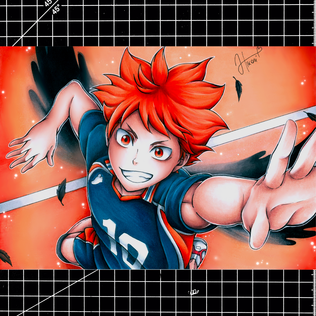 Hinata Shoyo - Haikyuu